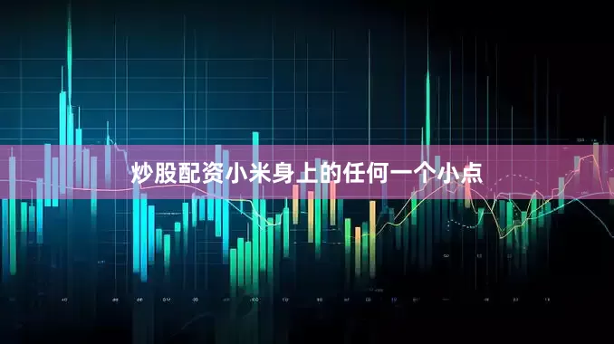 炒股配资小米身上的任何一个小点
