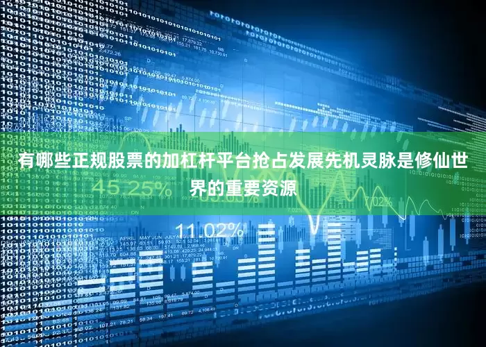 有哪些正规股票的加杠杆平台抢占发展先机灵脉是修仙世界的重要资源
