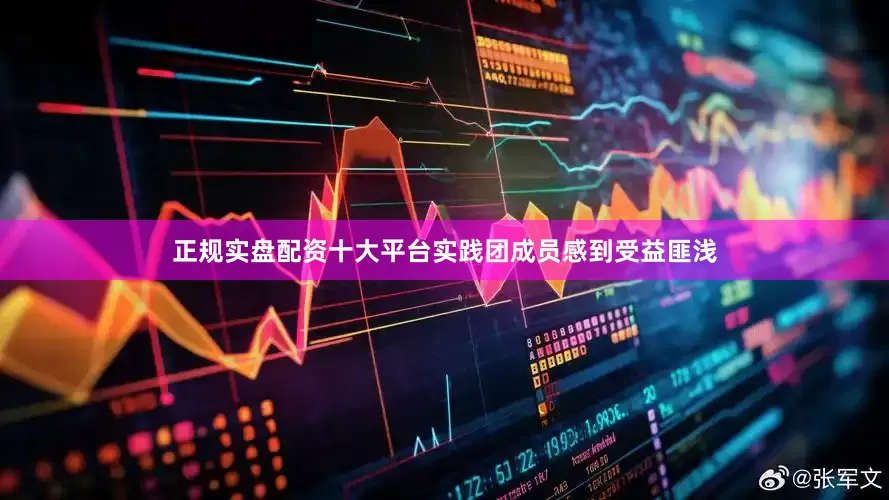 正规实盘配资十大平台实践团成员感到受益匪浅