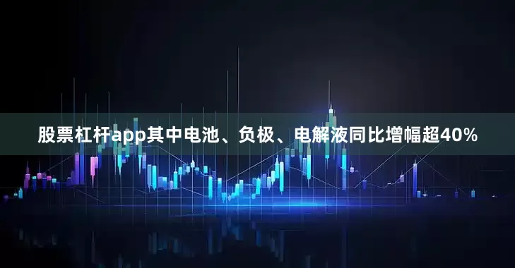 股票杠杆app其中电池、负极、电解液同比增幅超40%