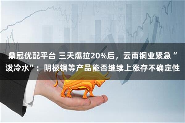 鼎冠优配平台 三天爆拉20%后，云南铜业紧急“泼冷水”：阴极铜等产品能否继续上涨存不确定性