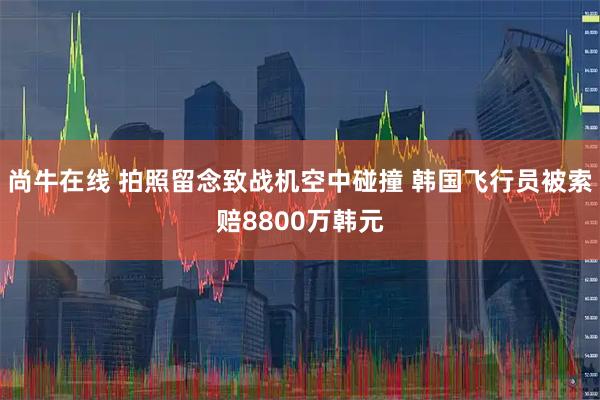 尚牛在线 拍照留念致战机空中碰撞 韩国飞行员被索赔8800万韩元